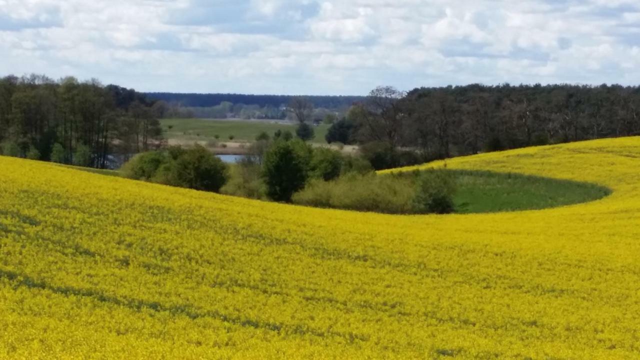 Ferienhaus Storchenweg Mahlzow Luaran gambar
